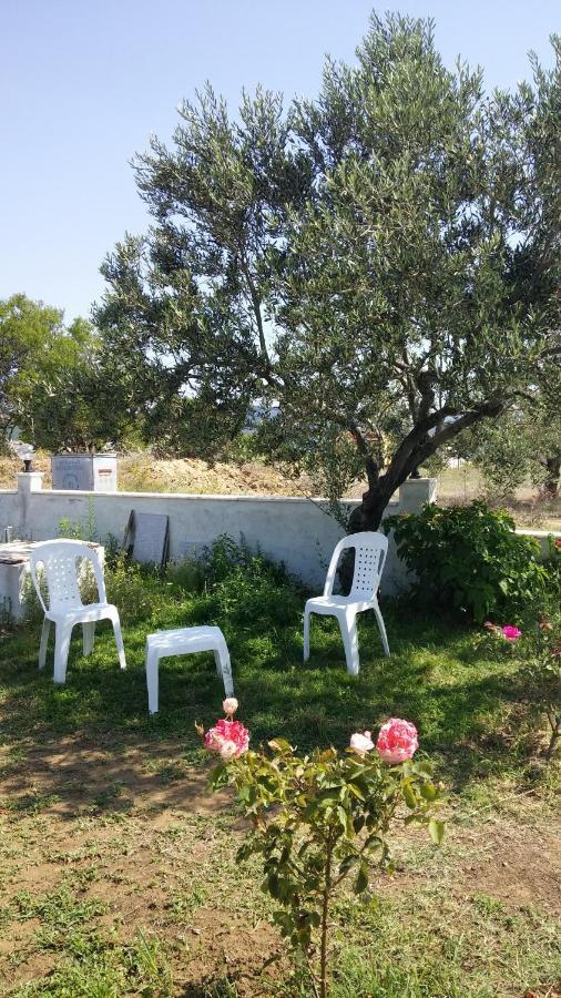 Villa Bagci Hotel Eceabat Extérieur photo